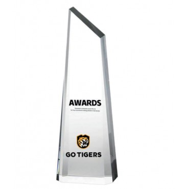 Cutting Edge Tower Award