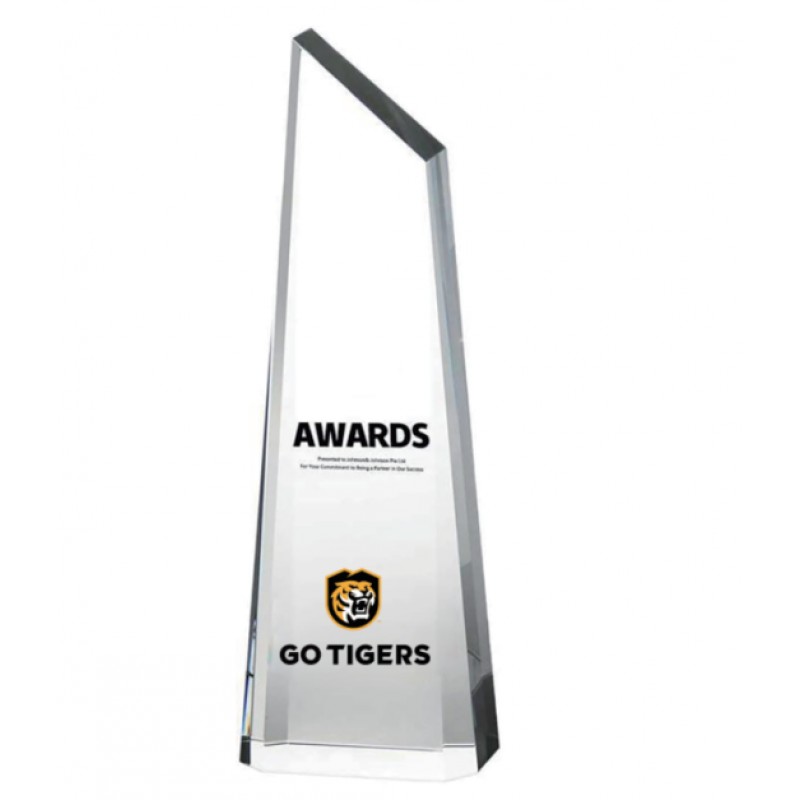 Cutting Edge Tower Award